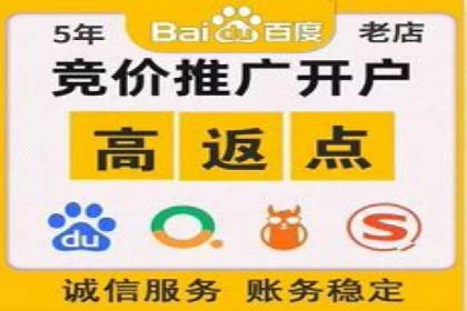案例分析：竞价推广实战中的困境与突破
